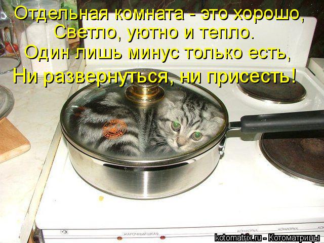 Котоматрица: Отдельная комната - это хорошо, Светло, уютно и тепло. Один лишь минус только есть, Ни развернуться, ни присесть!