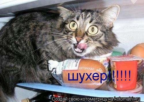 шухер!!!!!!... Котоматрица: шухер!!!!!!