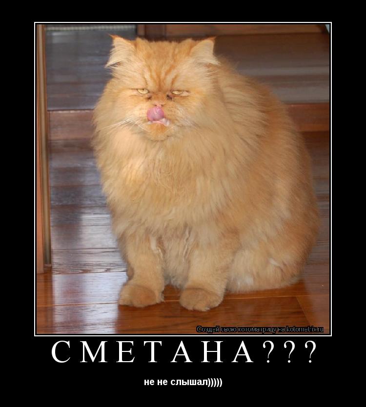 сметана??? не не слышал)))))... Котоматрица: сметана??? не не слышал)))))