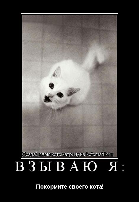 ВЗЫВАЮ Я: Покормите своего кота!... Котоматрица: ВЗЫВАЮ Я: Покормите своего кота!