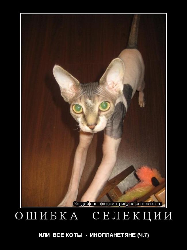 ОШИБКА СЕЛЕКЦИИ ИЛИ ВСЕ КОТЫ - ИНОПЛАНЕТЯНЕ (Ч.7)... Котоматрица: ОШИБКА СЕЛЕКЦИИ ИЛИ ВСЕ КОТЫ - ИНОПЛАНЕТЯНЕ (Ч.7)