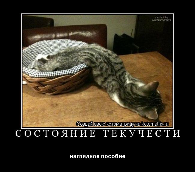 Состояние текучести наглядное пособие... Котоматрица: Состояние текучести наглядное пособие