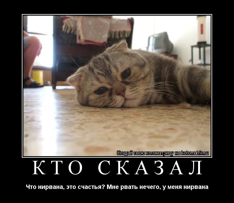 Кто сказал Что нирвана, это счастья? Мне рвать нечего, у меня нирвана... Котоматрица: Кто сказал Что нирвана, это счастья? Мне рвать нечего, у меня нирвана
