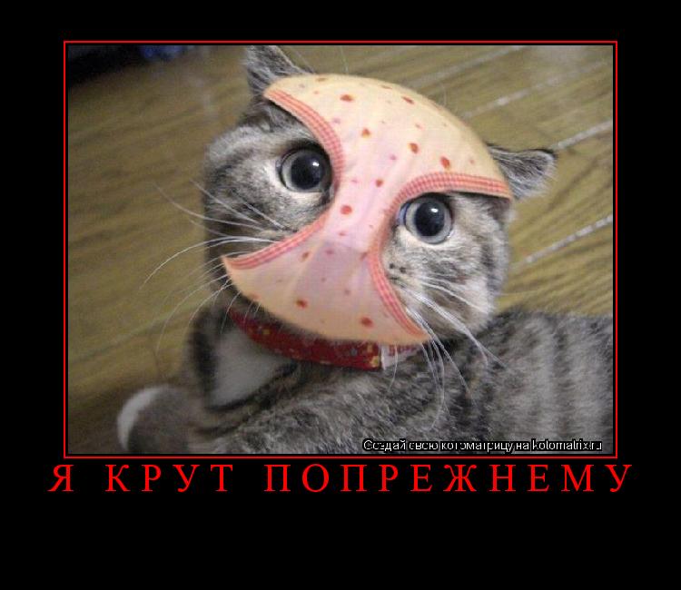 Я крут попрежнему ... Котоматрица: Я крут попрежнему