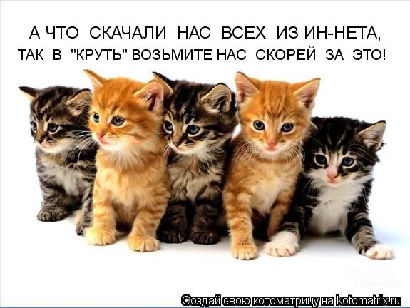 Котоматрица: ТАК  В  "КРУТЬ" ВОЗЬМИТЕ НАС  СКОРЕЙ  ЗА  ЭТО! А ЧТО  СКАЧАЛИ  НАС  ВСЕХ  ИЗ ИН-НЕТА,