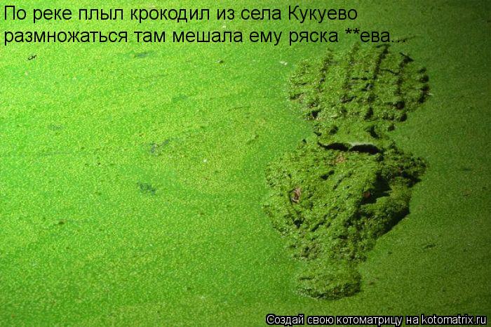 Котоматрица: По реке плыл крокодил из села Кукуево размножаться там мешала ему ряска **ева...