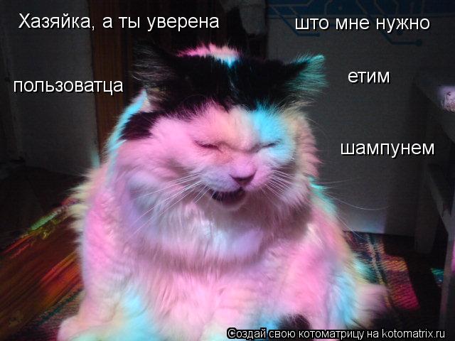 Котоматрица: Хазяйка, а ты уверена  што мне нужно  пользоватца етим шампунем