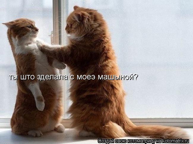 Котоматрица: ты што зделала с моеэ машыной?
