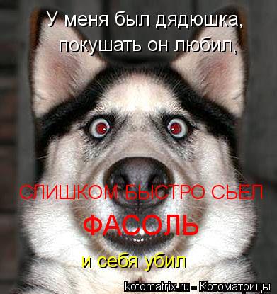 Котоматрица: У меня был дядюшка, покушать он любил, СЛИШКОМ БЫСТРО СЬЕЛ ФАСОЛЬ и себя убил