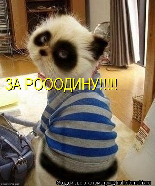 Котоматрица: ЗА РОООДИНУ!!!!!