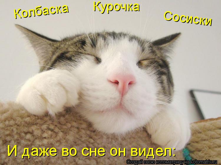 Котоматрица: И даже во сне он видел: Колбаска Курочка Сосиски