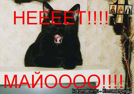 Котоматрица: НЕЕЕЕТ!!!! МАЙОООО!!!!