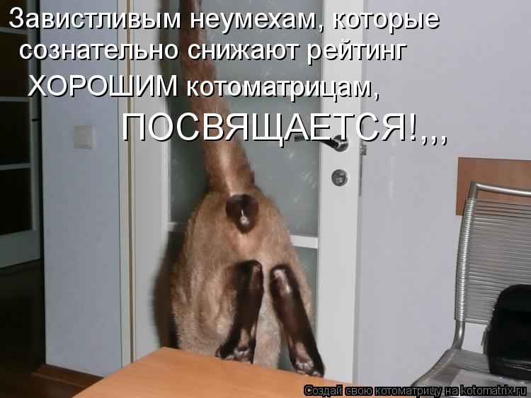 Завистливым неумехам, которые сознательно снижают рейтинг ХОРОШИМ котоматрицам, ПОСВЯЩАЕТСЯ!,,,... Котоматрица: Завистливым неумехам, которые сознательно снижают рейтинг ХОРОШИМ котоматрицам, ПОСВЯЩАЕТСЯ!,,,