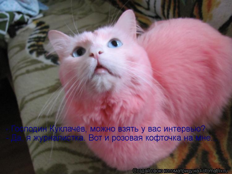 Котоматрица: - Господин Куклачёв, можно взять у вас интервью? - Да, я журналистка. Вот и розовая кофточка на мне...