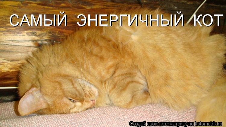 Котоматрица: САМЫЙ  ЭНЕРГИЧНЫЙ  КОТ