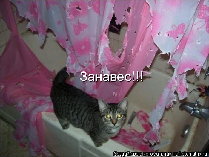 Котоматрица: Занавес!!!