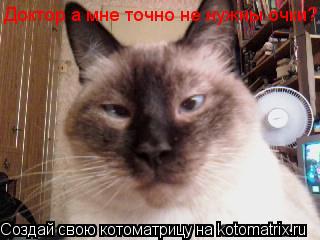 Доктор а мне точно не нужны очки?... Котоматрица: Доктор а мне точно не нужны очки?