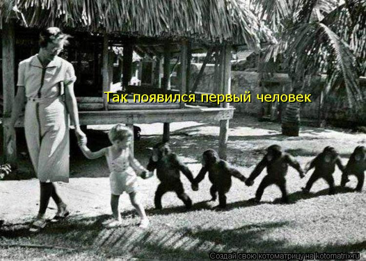 Так появился первый человек... Котоматрица: Так появился первый человек