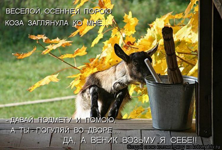ВЕСЕЛОЙ, ОСЕННЕЙ ПОРОЮ КОЗА ЗАГЛЯНУЛА КО МНЕ... - ДАВАЙ ПОДМЕТУ И ПОМОЮ, А ТЫ - ПОГУЛЯЙ ВО ... Котоматрица: ВЕСЕЛОЙ, ОСЕННЕЙ ПОРОЮ КОЗА ЗАГЛЯНУЛА КО МНЕ... - ДАВАЙ ПОДМЕТУ И ПОМОЮ, А ТЫ - ПОГУЛЯЙ ВО ДВОРЕ.... ДА, А ВЕНИК ВОЗЬМУ Я СЕБЕ!!