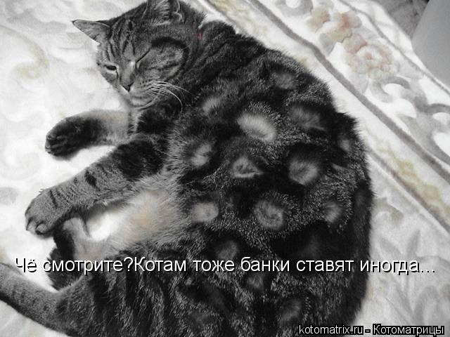 Чё смотрите?Котам тоже банки ставят иногда...... Котоматрица: Чё смотрите?Котам тоже банки ставят иногда...