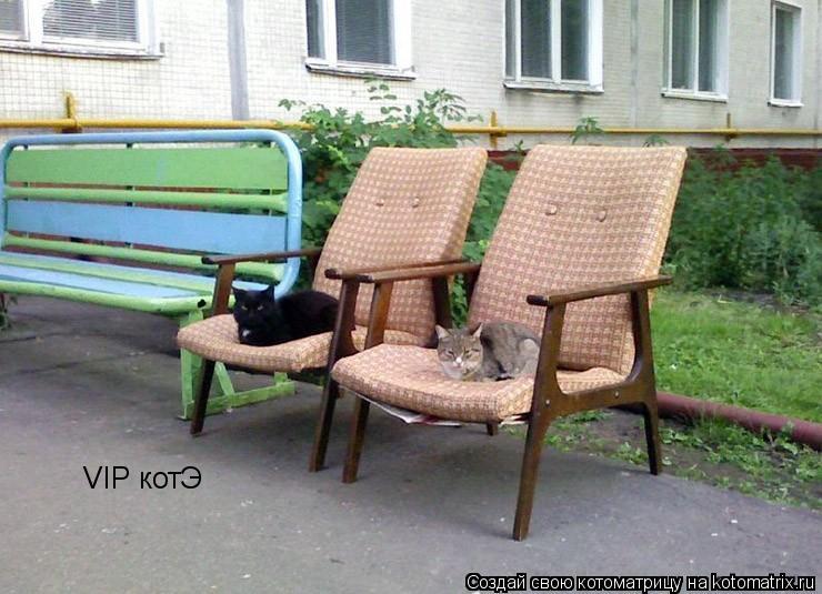 VIP котЭ... Котоматрица: VIP котЭ