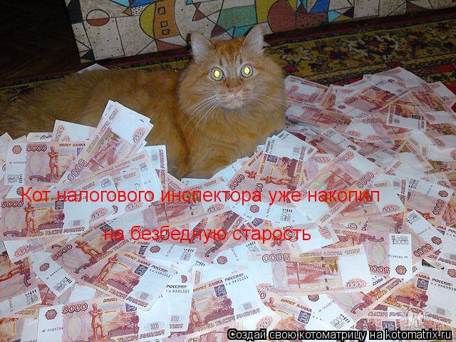 Кот налогового инспектора уже накопил на безбедную старость... Котоматрица: Кот налогового инспектора уже накопил на безбедную старость