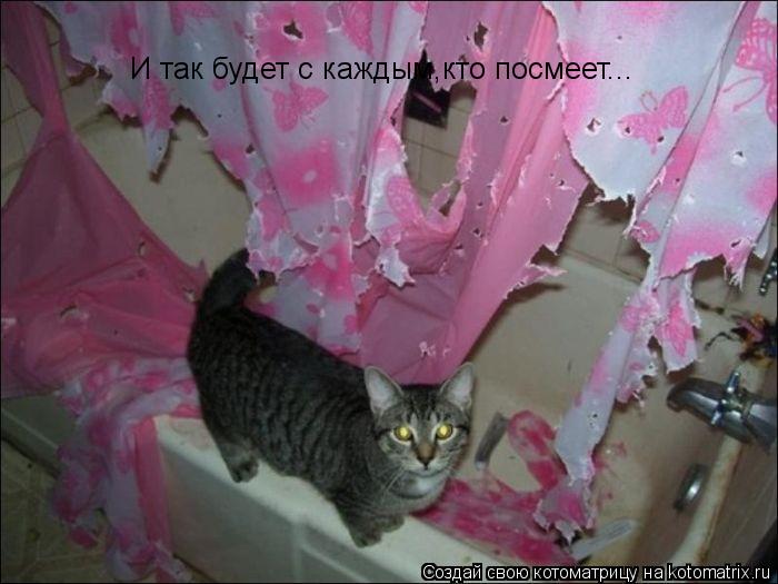 И так будет с каждым,кто посмеет...... Котоматрица: И так будет с каждым,кто посмеет...