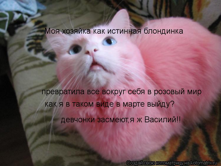 Моя хозяйка как истинная блондинка превратила все вокруг себя в розовый мир как я в таком виде в март... Котоматрица: Моя хозяйка как истинная блондинка превратила все вокруг себя в розовый мир как я в таком виде в марте выйду? девчонки засмеют,я ж Василий!!