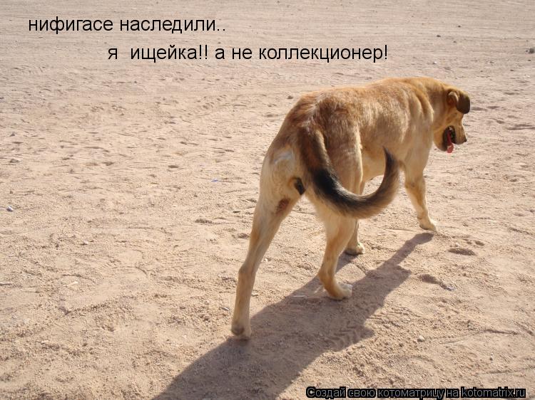 нифигасе наследили.. я ищейка!! а не коллекционер!... Котоматрица: нифигасе наследили.. я ищейка!! а не коллекционер!