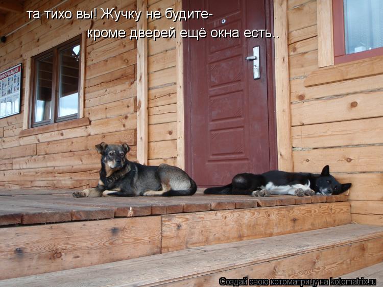 та тихо вы! Жучку не будите- кроме дверей ещё окна есть..... Котоматрица: та тихо вы! Жучку не будите- кроме дверей ещё окна есть..