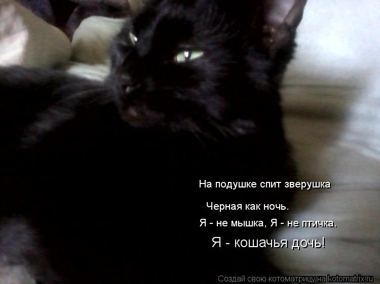На подушке спит зверушка Черная как ночь. Я - не мышка, Я - не птичка. Я - кошачья дочь!... Котоматрица: На подушке спит зверушка Черная как ночь. Я - не мышка, Я - не птичка. Я - кошачья дочь!