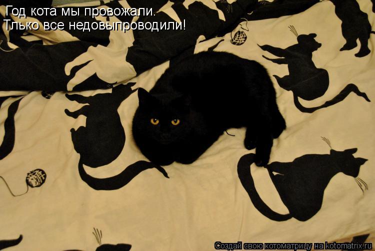 Год кота мы провожали. Тлько все недовыпроводили!... Котоматрица: Год кота мы провожали. Тлько все недовыпроводили!
