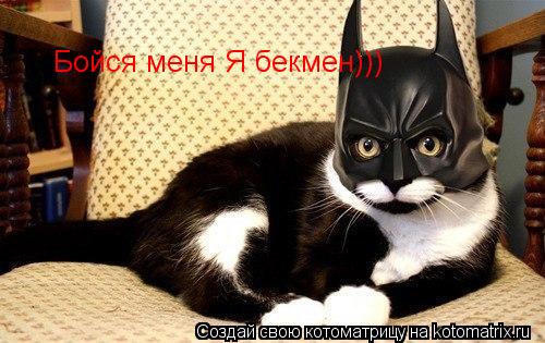 Котоматрица: Бойся меня Я бекмен)))