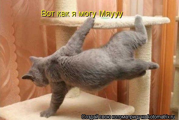 Котоматрица: Вот как я могу Мяууу
