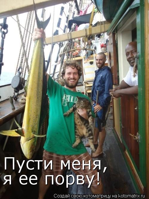 Котоматрица: Пусти меня, я ее порву!