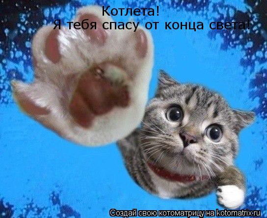 Котоматрица: Котлета!  Я тебя спасу от конца света!
