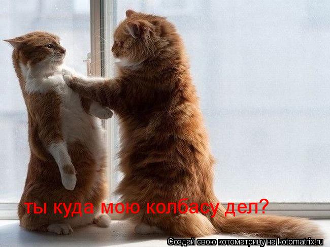 Котоматрица: ты куда мою колбасу дел?