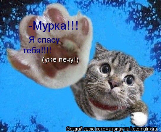 Котоматрица: Мурка!!! Я спасу тебя!!!! (уже лечу!) -