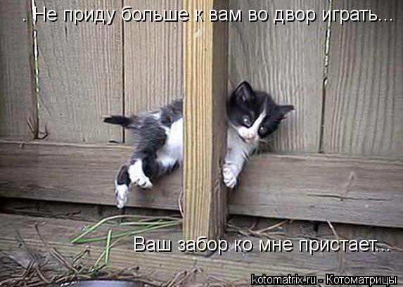 . Не приду больше к вам во двор играть... Ваш забор ко мне пристает...... Котоматрица: . Не приду больше к вам во двор играть... Ваш забор ко мне пристает...