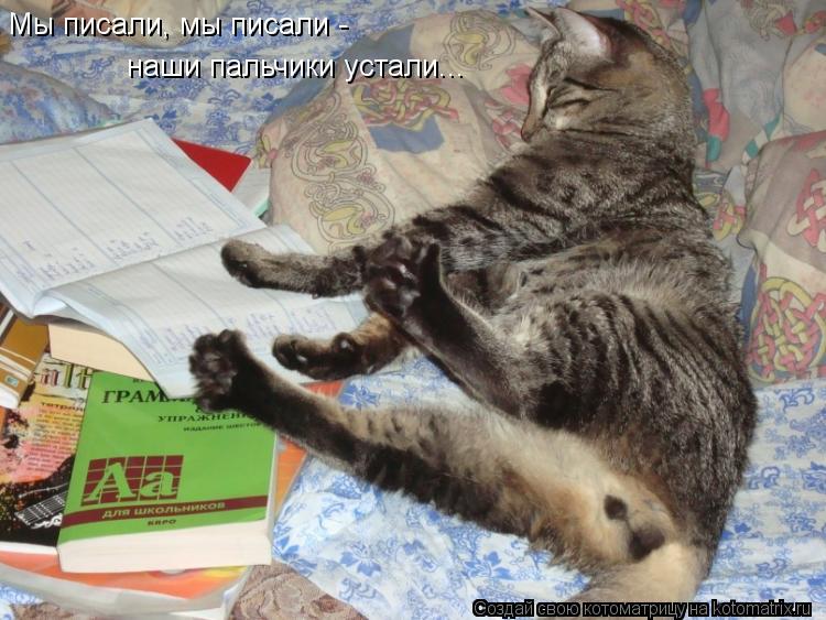 Котоматрица: Мы писали, мы писали -  наши пальчики устали...