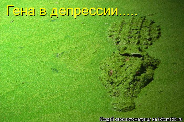 Гена в депрессии........ Котоматрица: Гена в депрессии.....