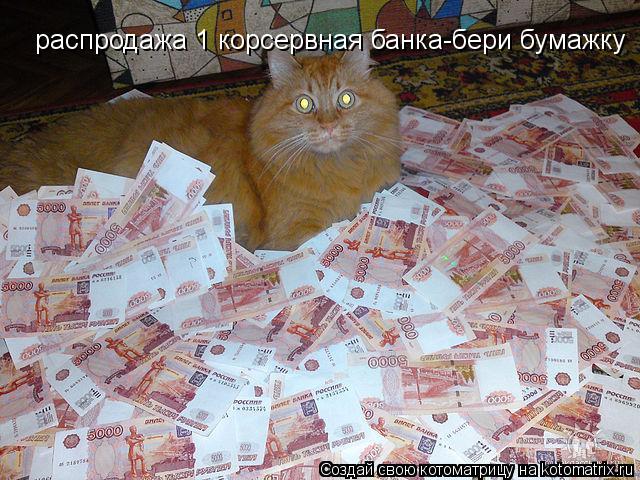 Котоматрица: распродажа 1 корсервная банка-бери бумажку