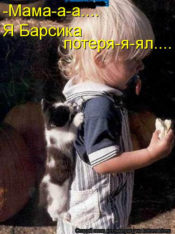 потеря-я-ял.... Я Барсика -Мама-а-а....... Котоматрица: потеря-я-ял.... Я Барсика -Мама-а-а....