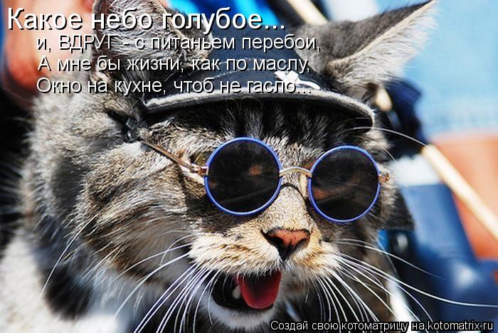 Котоматрица: Какое небо голубое... и, ВДРУГ - с питаньем перебои, А мне бы жизни, как по маслу, Окно на кухне, чтоб не гасло...