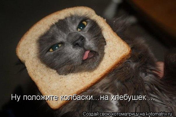 Котоматрица: Ну положите колбаски...на хлебушек ...