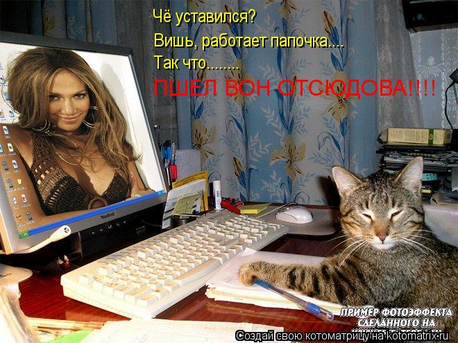 Котоматрица: Чё уставился? Вишь, работает папочка.... Так что........ ПШЕЛ ВОН ОТСЮДОВА!!!!