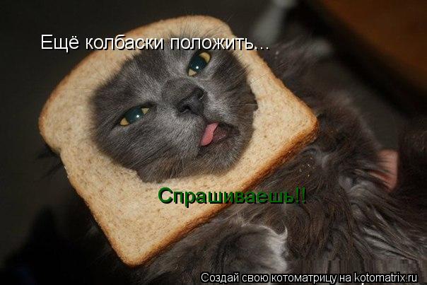 Котоматрица: Ещё колбаски положить... Спрашиваешь!!