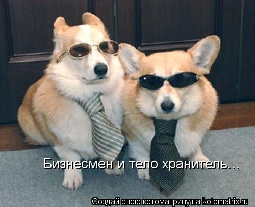 Котоматрица: Бизнесмен и тело хранитель...