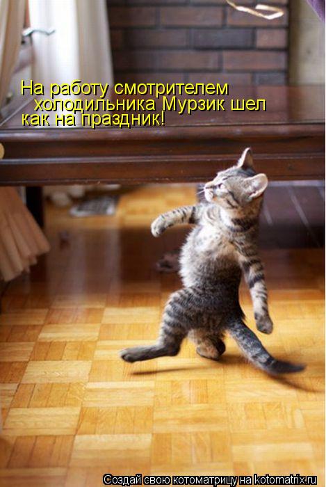 На работу смотрителем как на праздник! холодильника Мурзик шел... Котоматрица: На работу смотрителем как на праздник! холодильника Мурзик шел