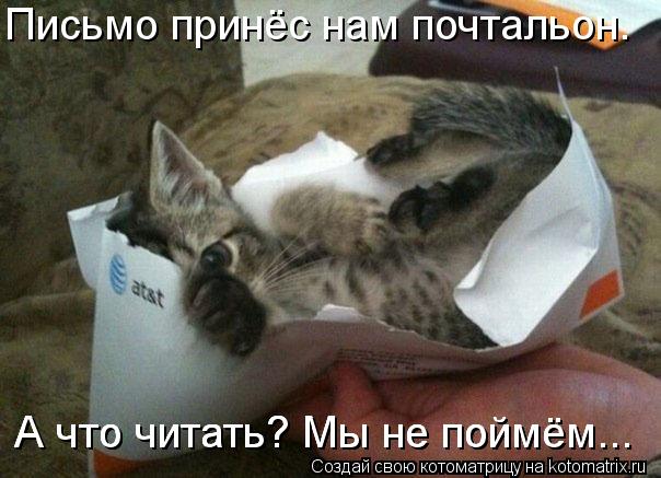 Письмо принёс нам почтальон. А что читать? Мы не поймём... А что читать? Мы не поймём... А что читать... Котоматрица: Письмо принёс нам почтальон. А что читать? Мы не поймём... А что читать? Мы не поймём... А что читать? Мы не поймём...